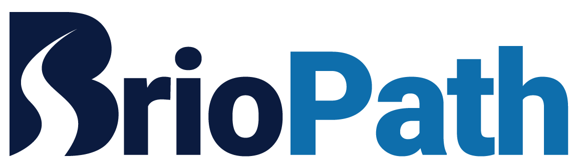 BrioPath  — Build Capability. Navigate Change.